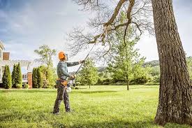 Best Commercial Tree Services  in Beggs, OK