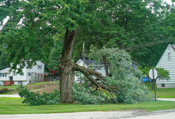 Best Utility Line Clearance  in Beggs, OK